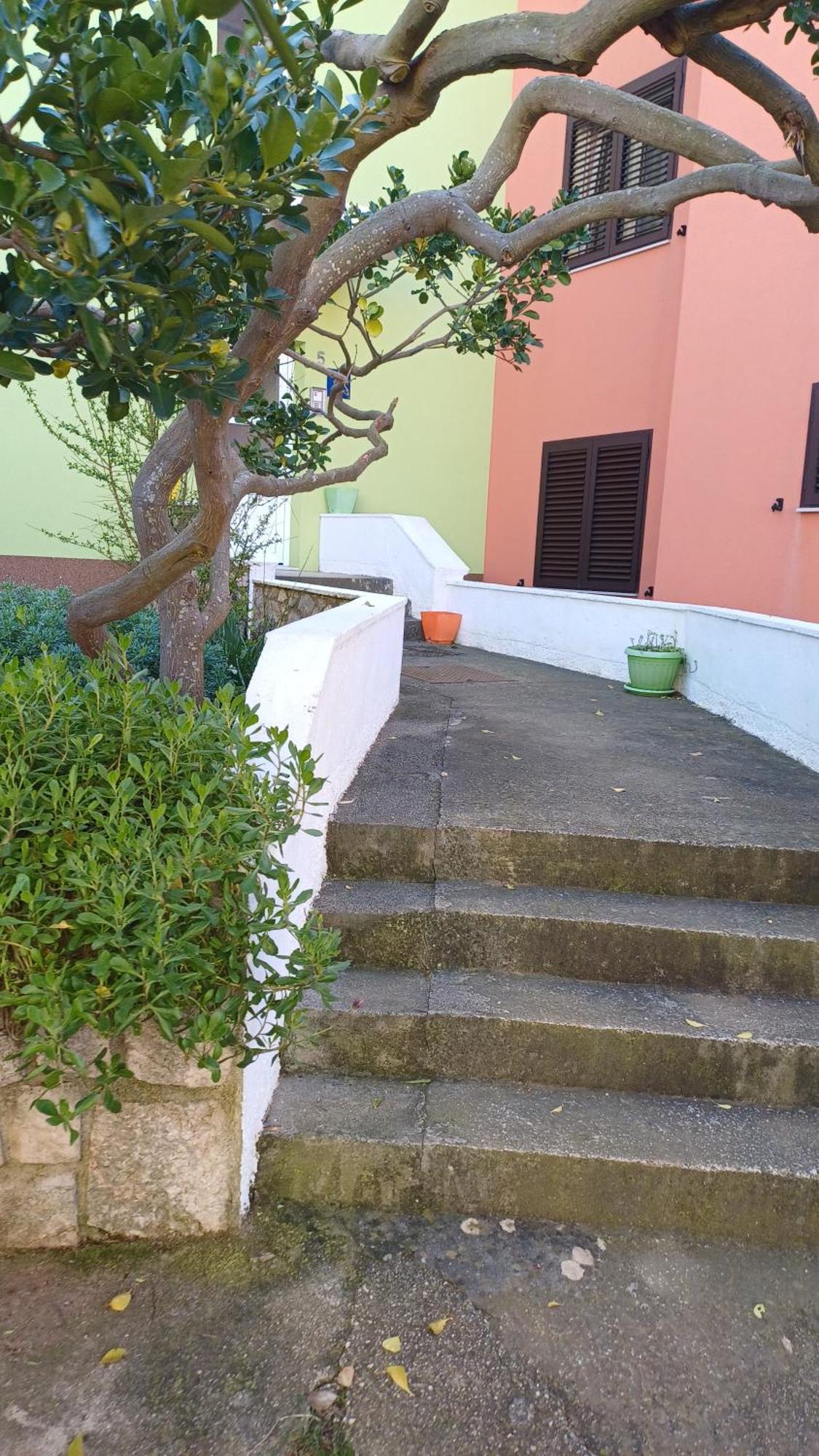 Apartament Dairos2 Mali Lošinj Zewnętrze zdjęcie